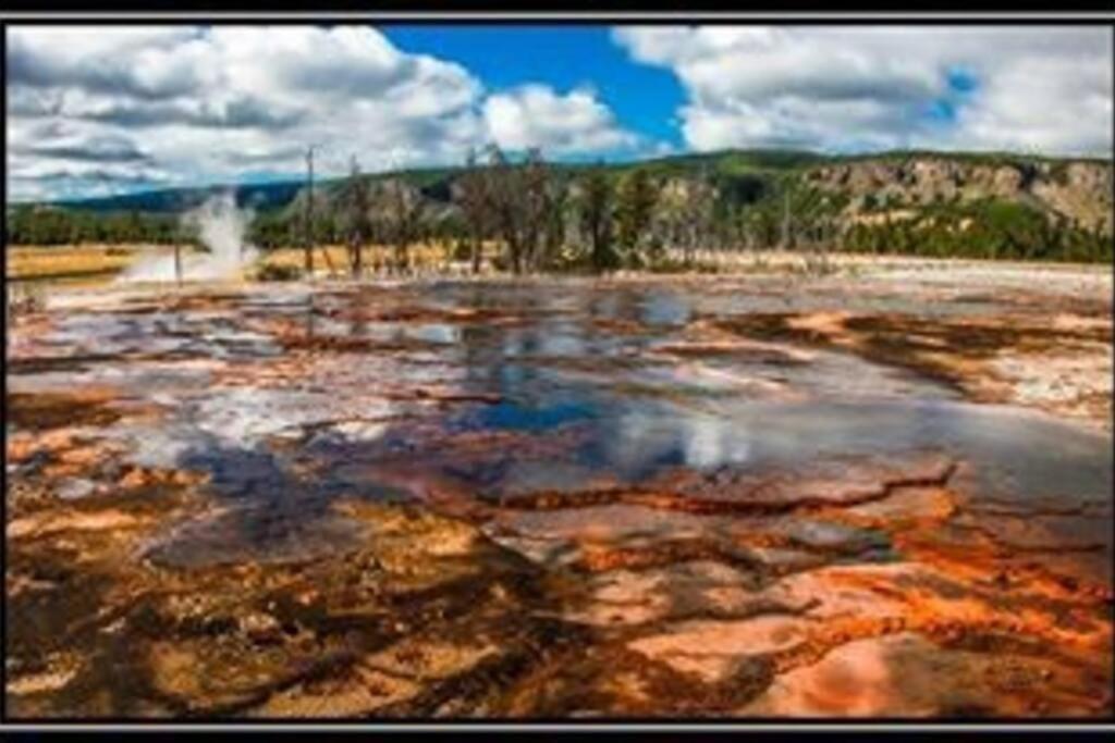 איילנד פארק White Owl Retreat Yellowstone Grand Teton מראה חיצוני תמונה